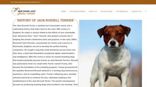 A screenshot of Newdawnjackrussellterrier.com