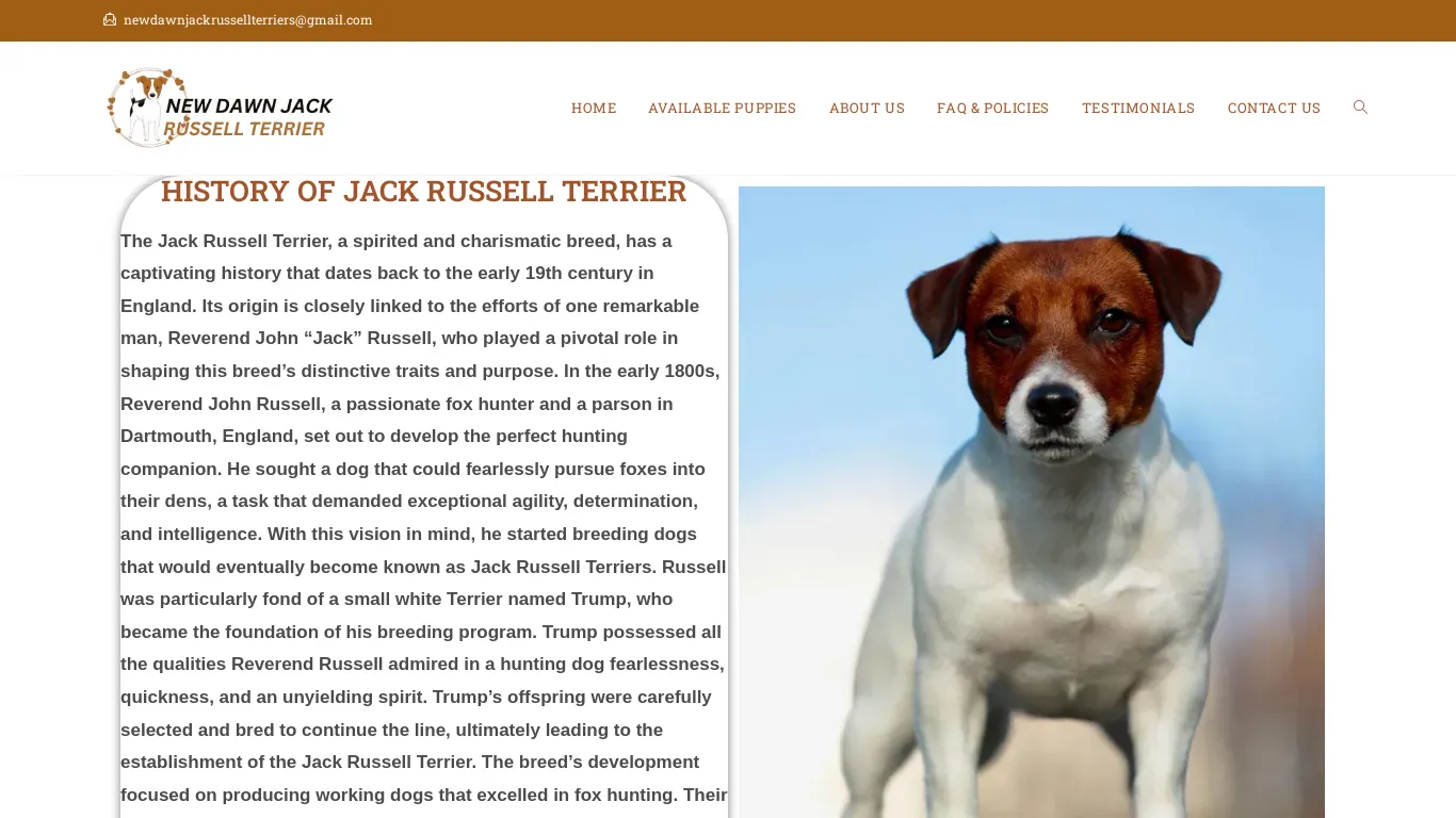 is New Dawn Jack Russell Terrier – Licensed Jack Russell Terrier Breeders legit? screenshot