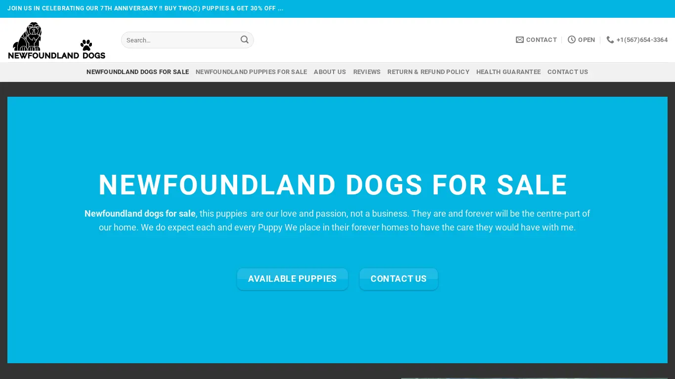 is Newfoundland Dogs For Sale | Newfoundland Puppies for sale legit? screenshot