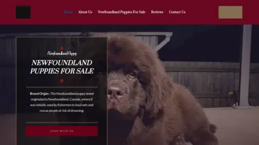 A screenshot of Newfoundlandnearme.net