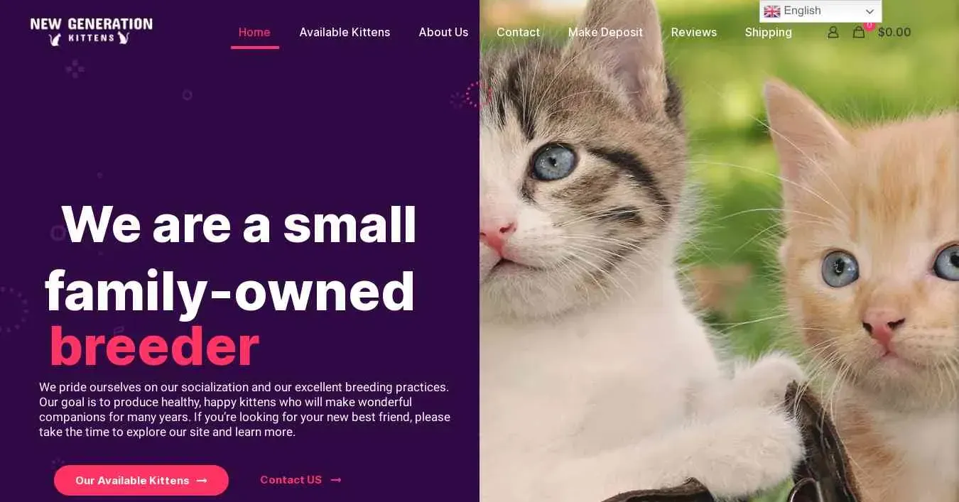 is newgenerationkittens.com legit? screenshot