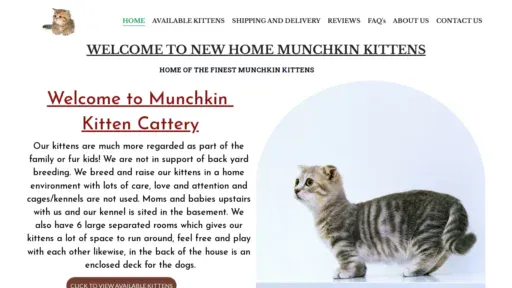 A screenshot of Newhomemunchkins.com