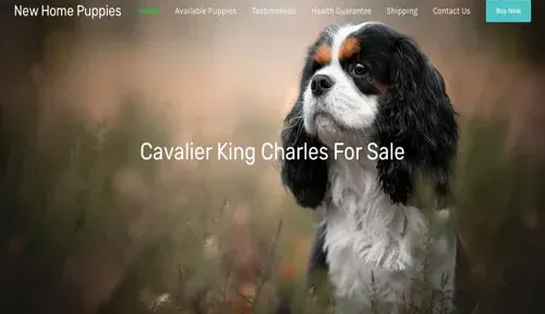 A screenshot of Genlanfamilystbernard.com