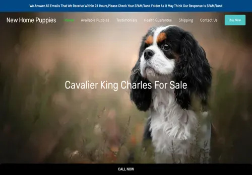 is newhomepuppies.com legit? screenshot
