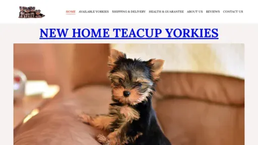 A screenshot of Newhometeacupyorkies.com