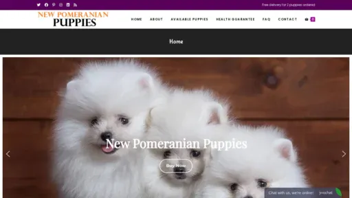 A screenshot of Newpomeranianpuppies.com