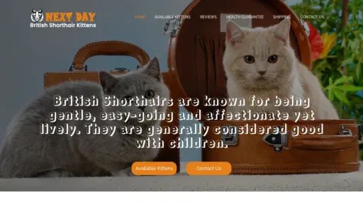 A screenshot of Nextdaybritishshorthairkittens.com