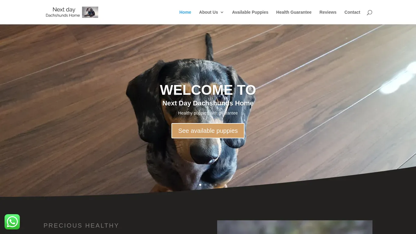 is nextdaydachshundshome.com legit? screenshot