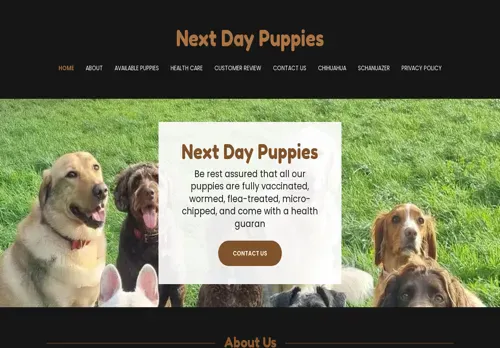 is nextdaypuppies.co.za legit? screenshot