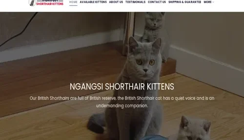 A screenshot of Genlanfamilystbernard.com