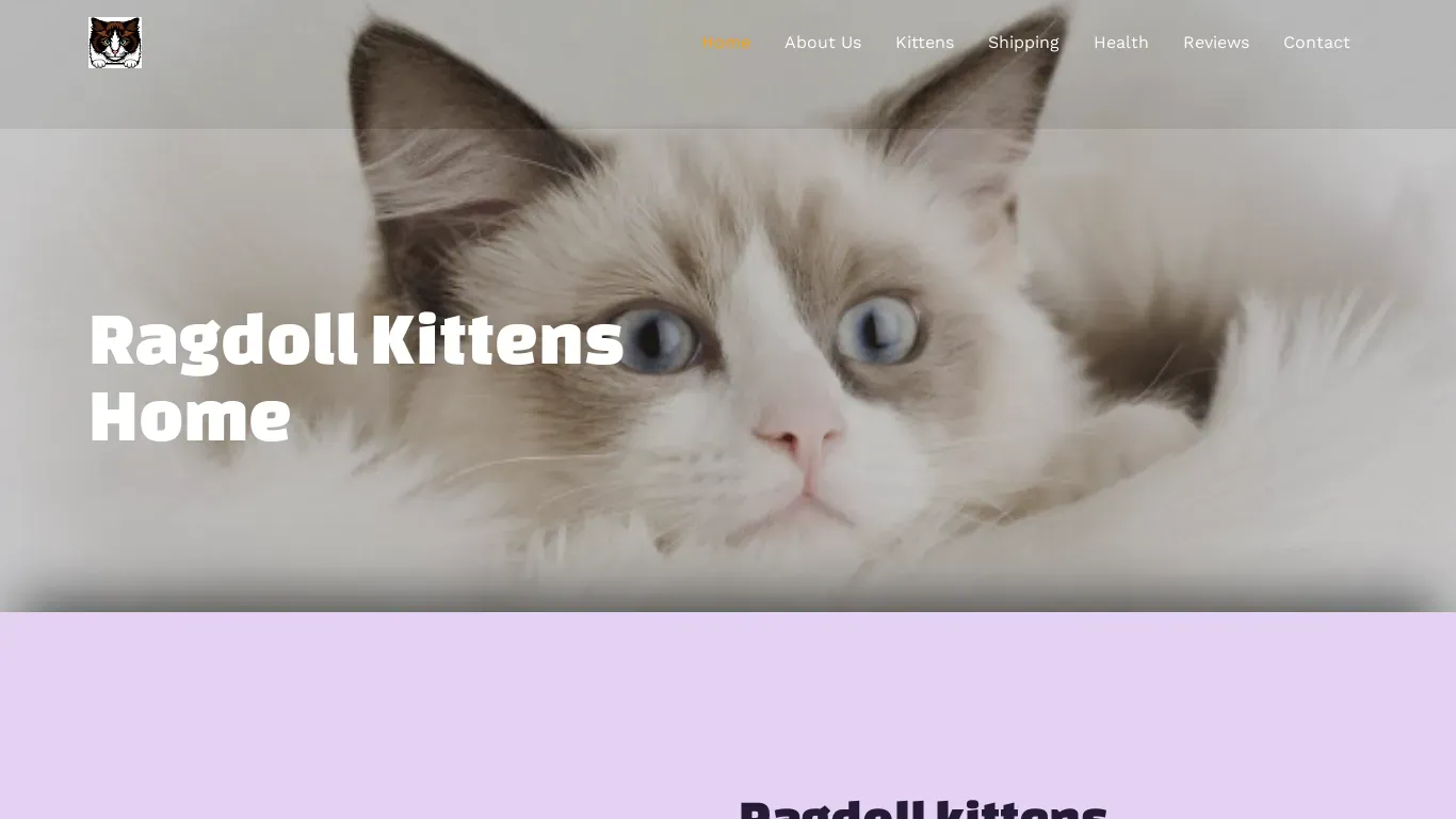 is nibaragdollhome.com legit? screenshot