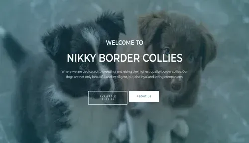 A screenshot of Genlanfamilystbernard.com