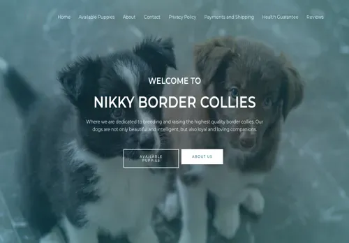 is nikkybordercollies.com legit? screenshot