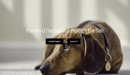 A screenshot of Genlanfamilystbernard.com