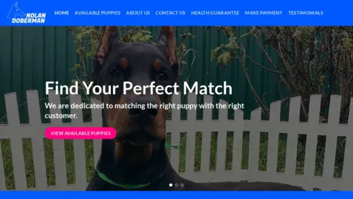 A screenshot of Nolandoberman.com