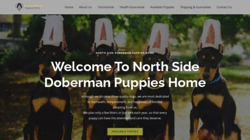 A screenshot of Northstardobies.com