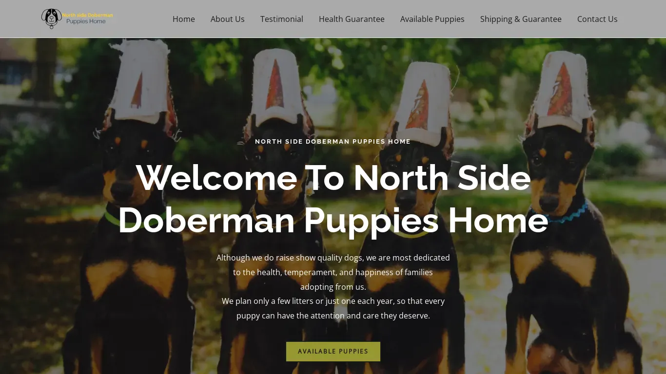 is northstardobies.com legit? screenshot