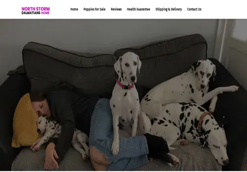 is northstormdalmatianshome.com legit? screenshot