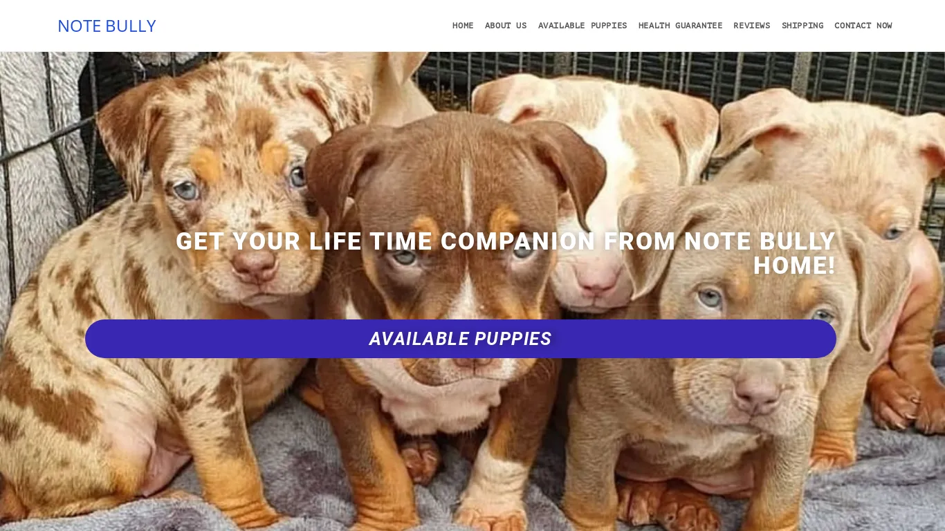 is notebully.com legit? screenshot