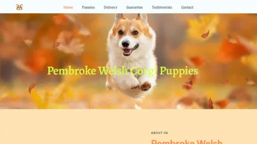 A screenshot of Ntahcorgihome.com