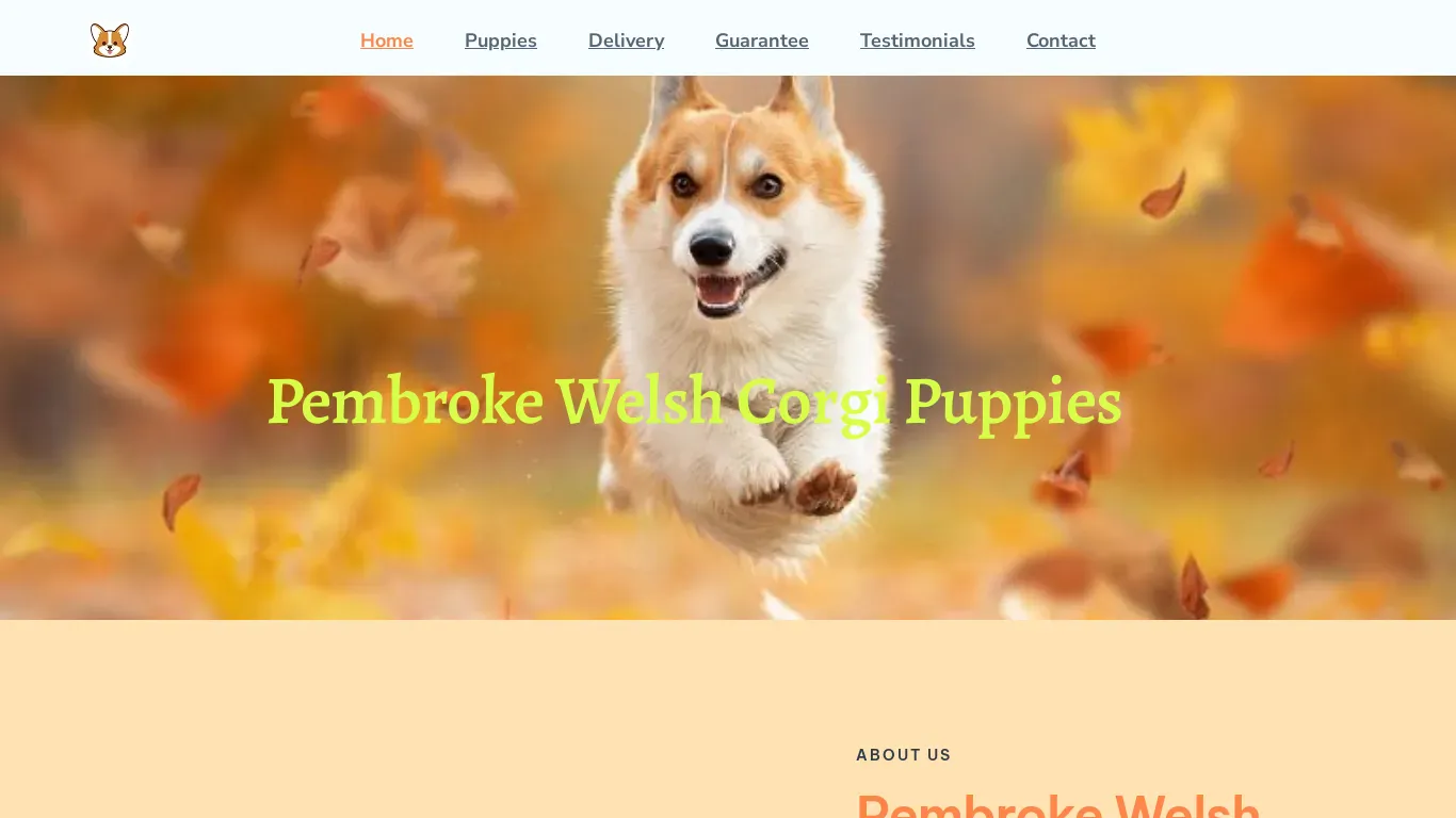 is ntahcorgihome.com legit? screenshot
