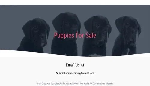 A screenshot of Genlanfamilystbernard.com