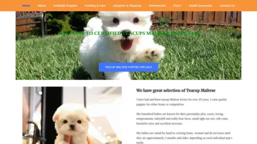 A screenshot of Odysseytoymaltese.com