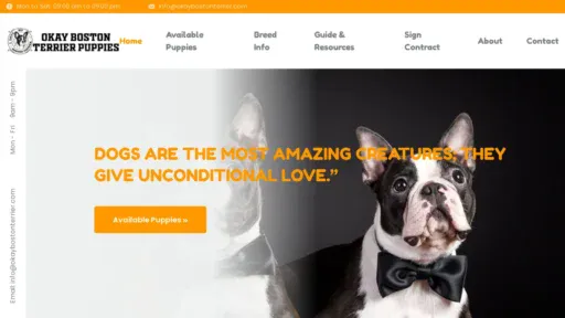 A screenshot of Okaybostonterrier.com