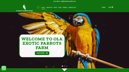 A screenshot of Olaexoticparrotsfarm.com