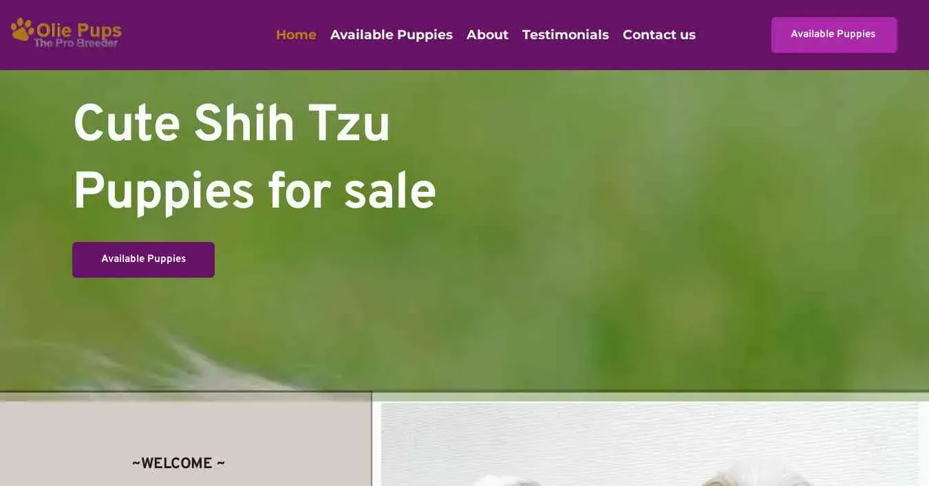 is oliepups.com legit? screenshot