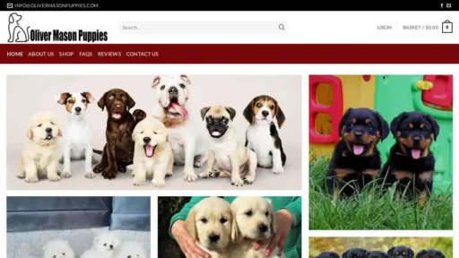 A screenshot of Genlanfamilystbernard.com