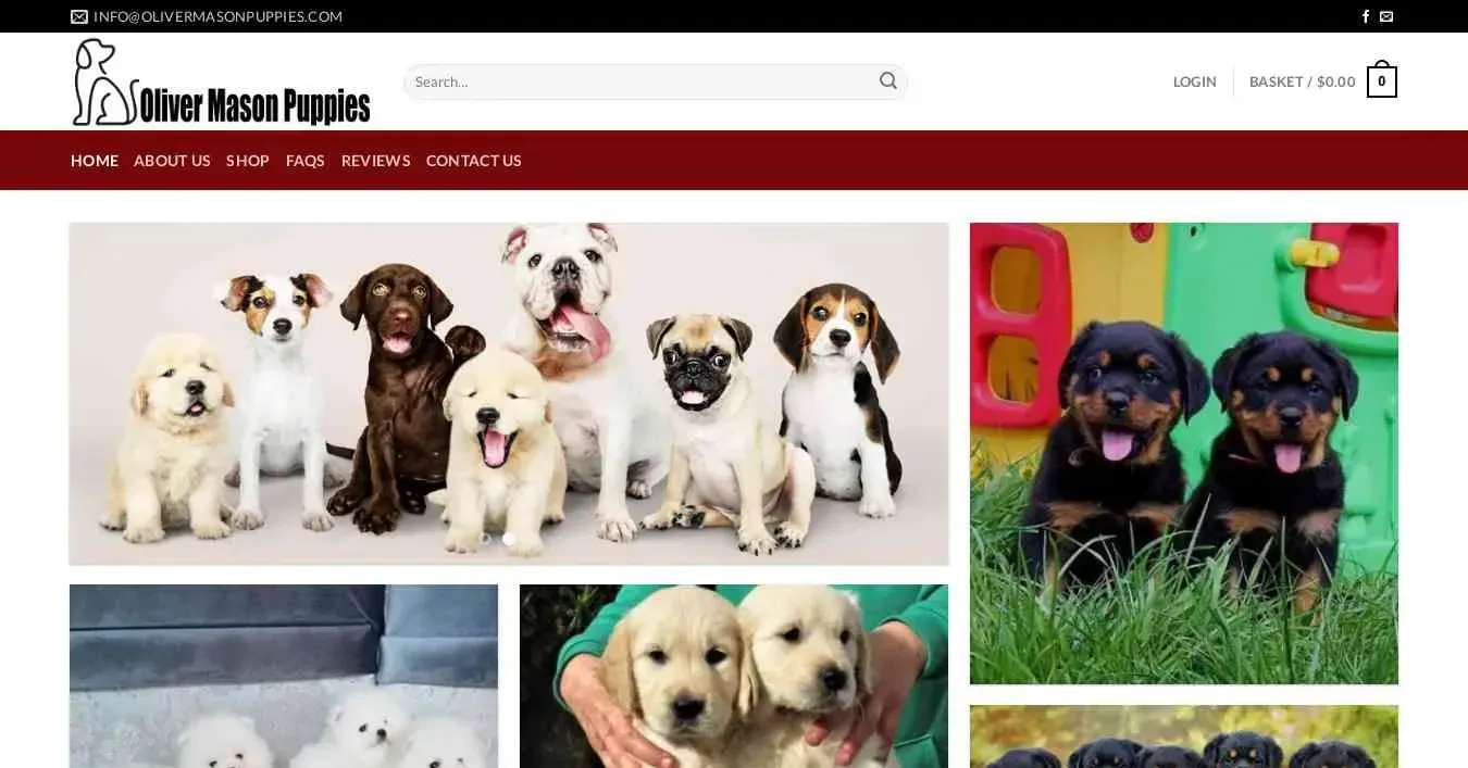 is olivermasonpuppies.com legit? screenshot