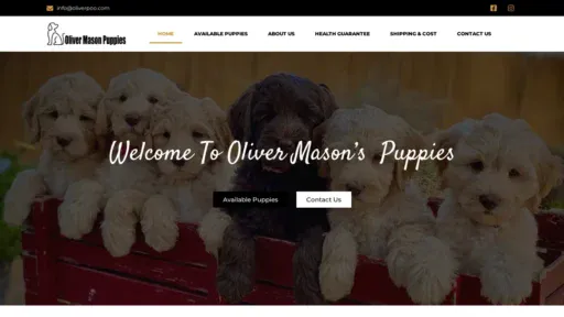 A screenshot of Oliverpoo.com