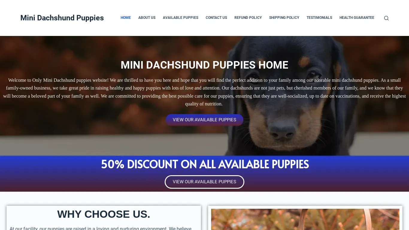 is Mini Dachshund Puppies – Buy Mini Dachshund Puppies In Australia legit? screenshot