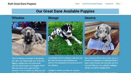 A screenshot of Orientalshorthairforsale.com