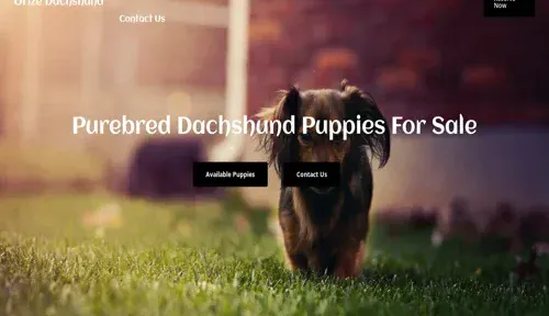 A screenshot of Genlanfamilystbernard.com