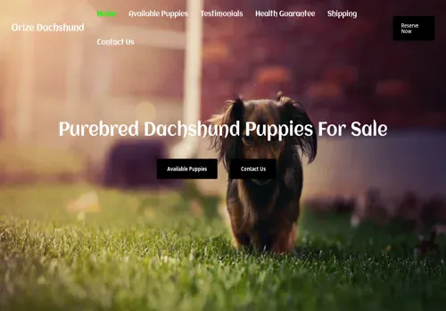 is orizedachshund.com legit? screenshot