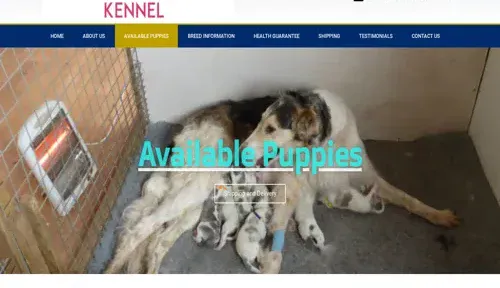 A screenshot of Genlanfamilystbernard.com