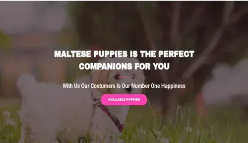 A screenshot of Genlanfamilystbernard.com