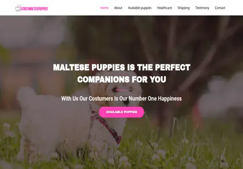 is oscarinecutemaltespuppies.com legit? screenshot