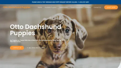 A screenshot of Ottodachshundpuppies.com