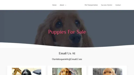 A screenshot of Ourdalsspaniels.com