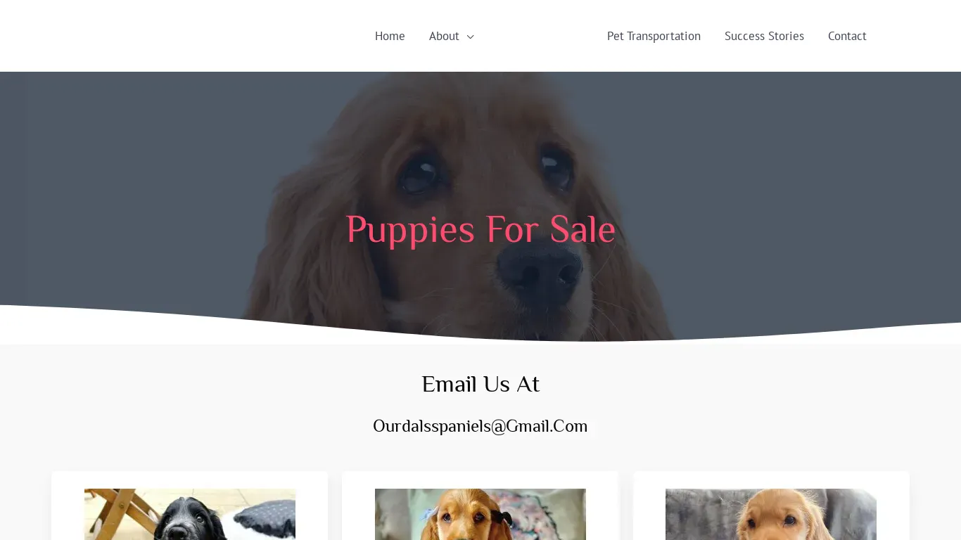 is ourdalsspaniels.com legit? screenshot
