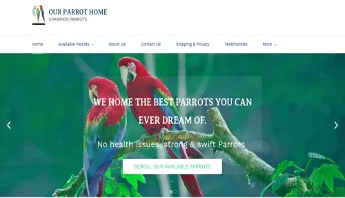 A screenshot of Genlanfamilystbernard.com