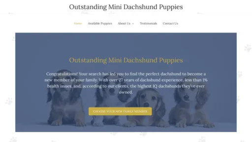 A screenshot of Oustandingminidaschundpuppies.com