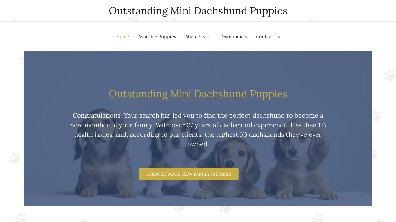 is oustandingminidaschundpuppies.com legit? screenshot