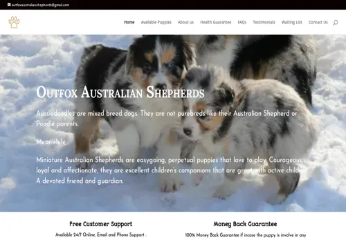 is outfoxaustralianshepherds.com legit? screenshot