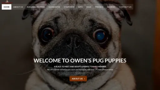 A screenshot of Owenspugpuppies.com