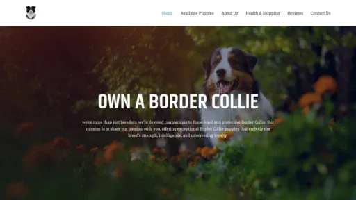 A screenshot of Ownabordercollie.com