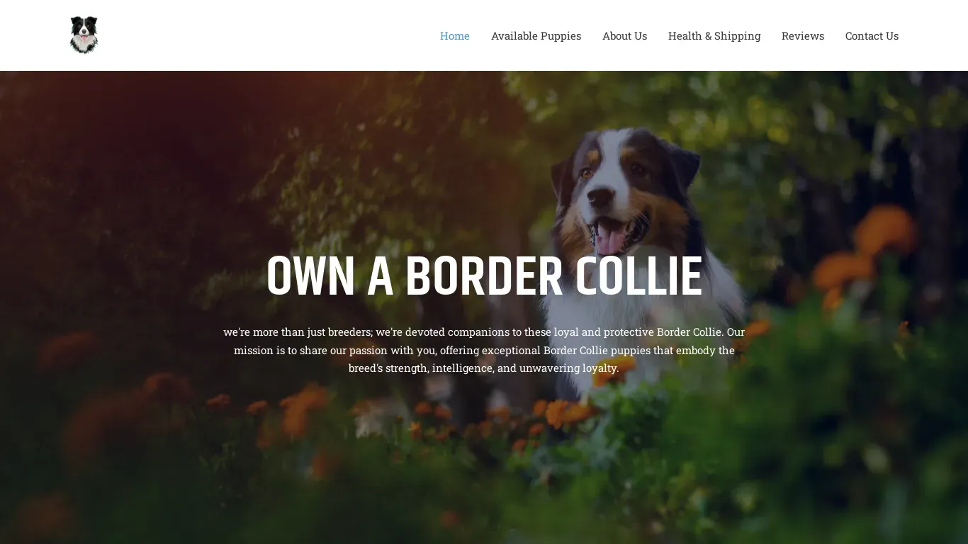 is Own A Border Collie legit? screenshot